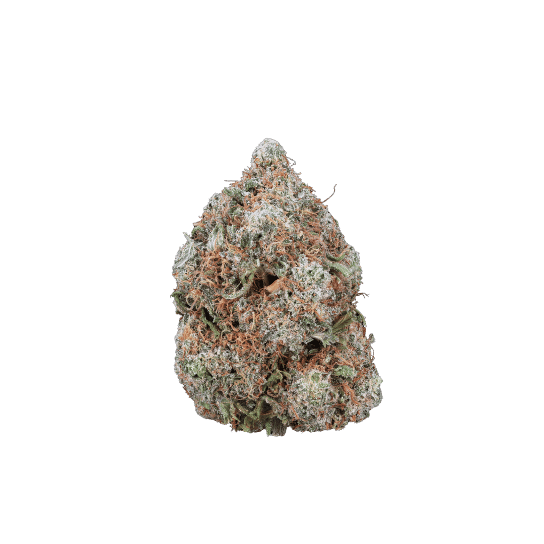 Jack Herer - AAA