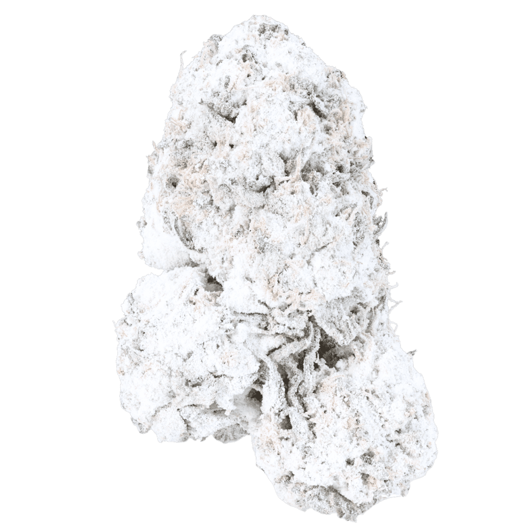 THCa Snowballs - Pine Tar AAA