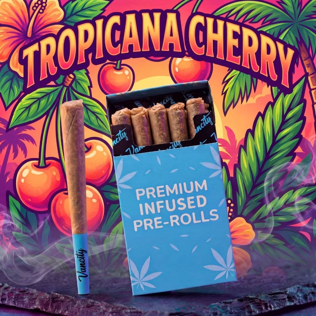 Tropicana Cherry - Premium INFUSED Flower Pre-rolls 7g (10 x 0.7g)