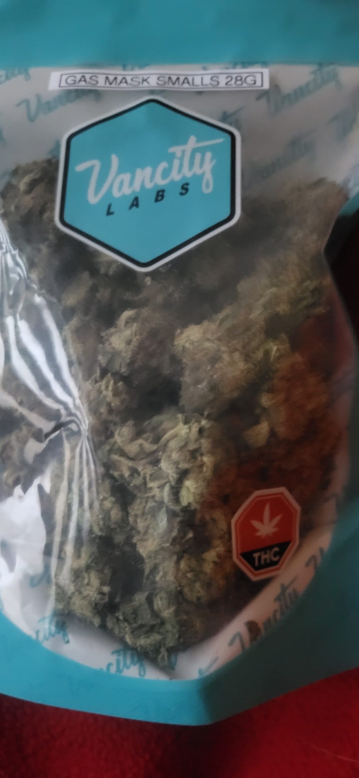 Customer photo 1 of Gas Mask - Smalls