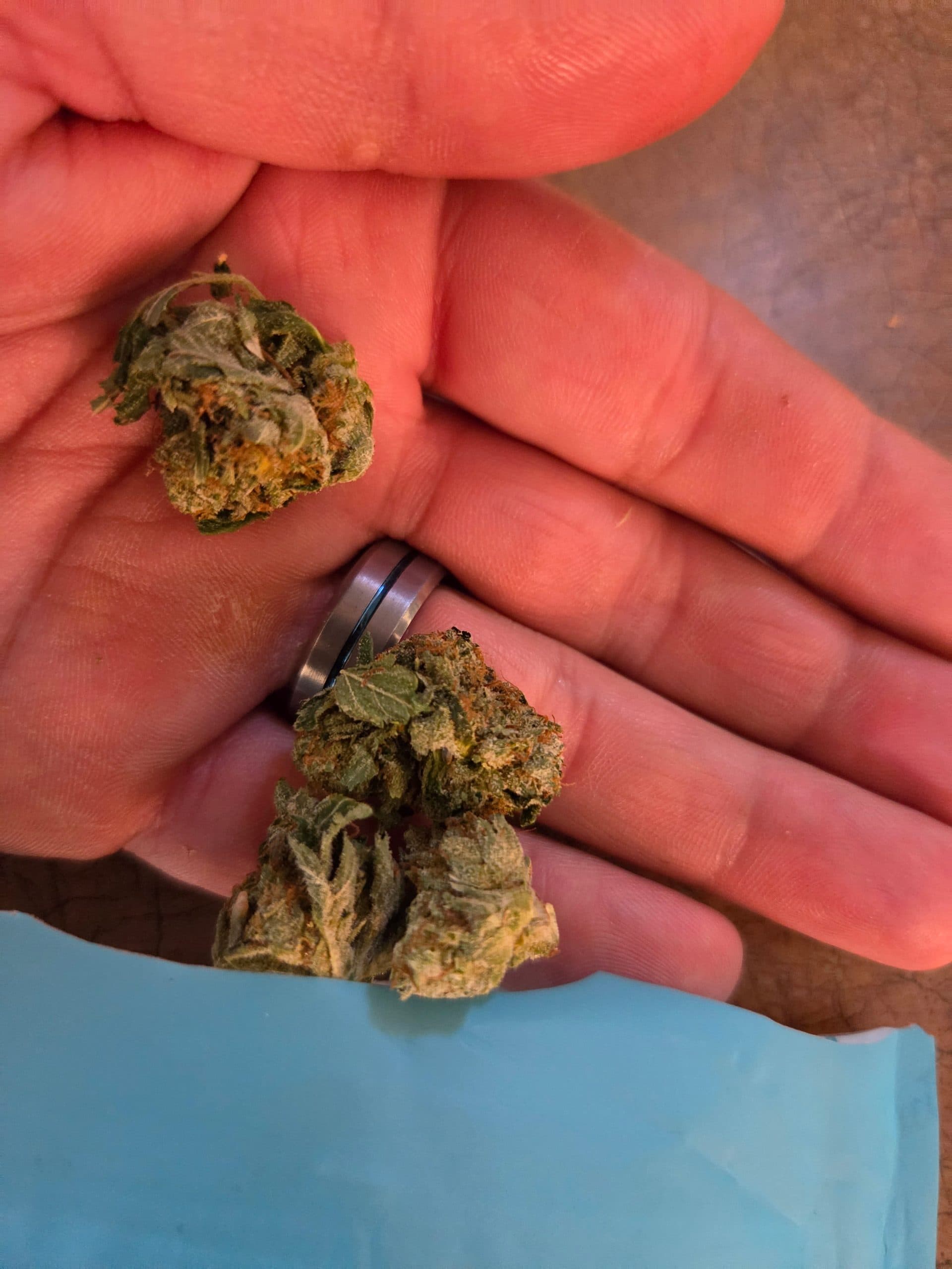 Customer photo 3 of Rockstar - Smalls