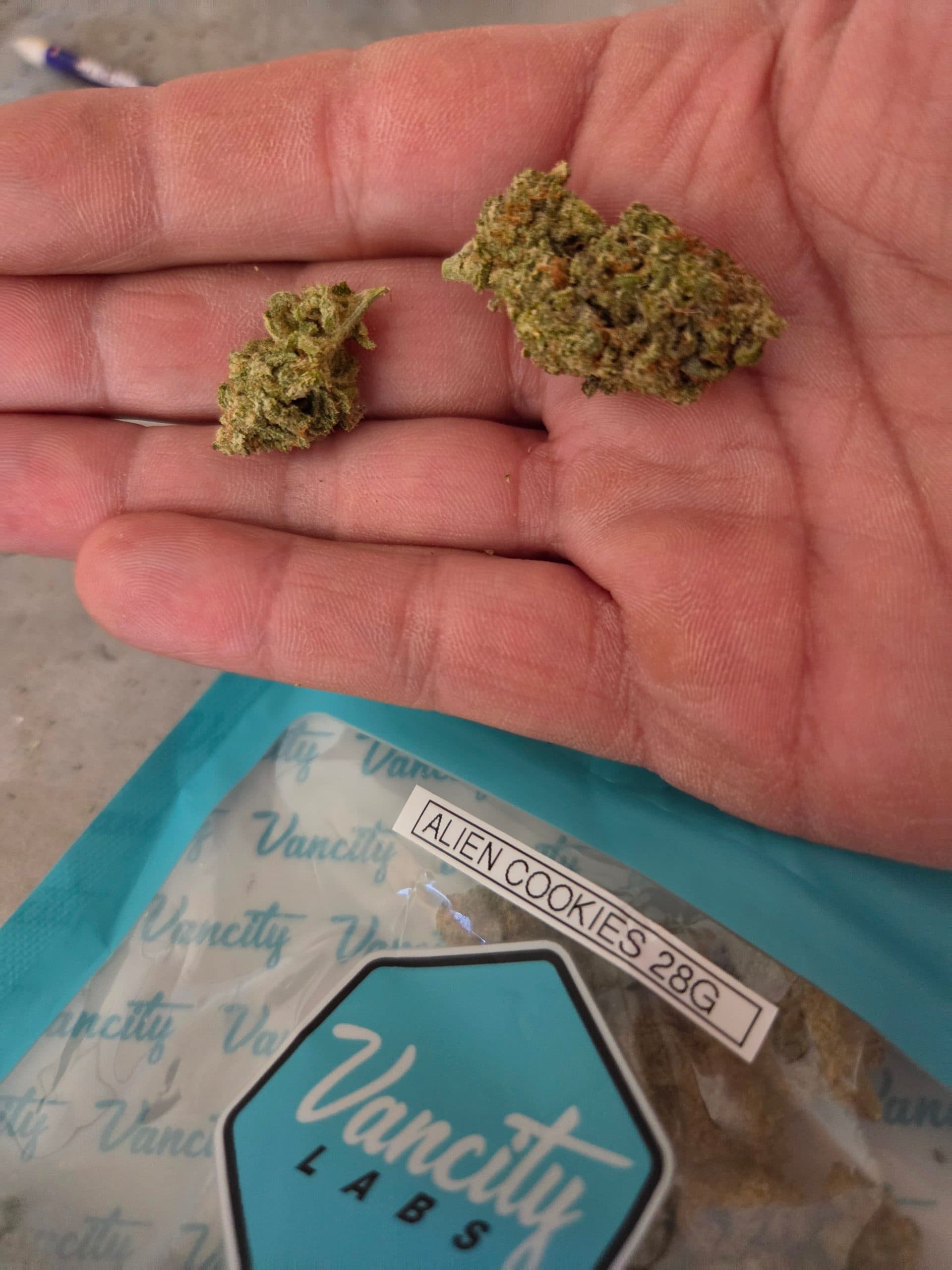 Customer photo 2 of Alien Cookies - AAA