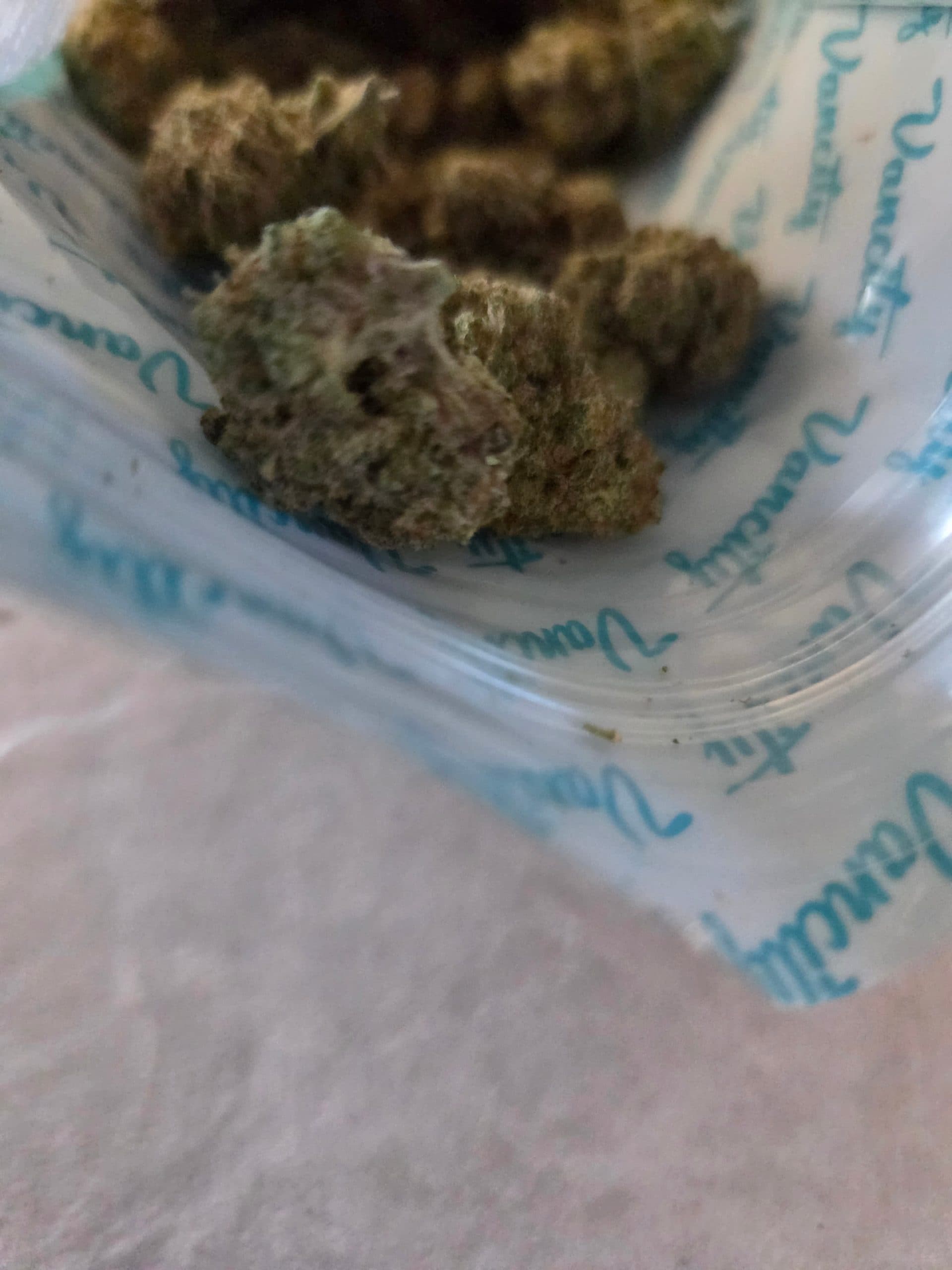 Customer photo 3 of Alien Cookies - AAA