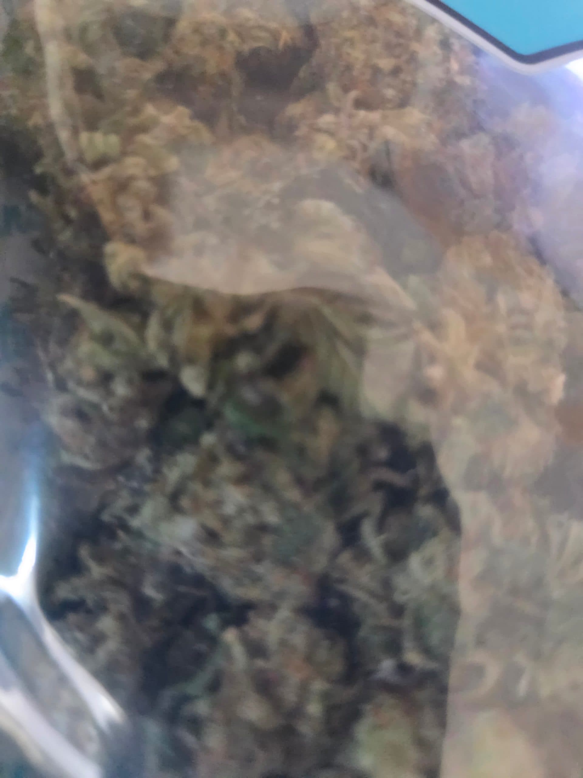 Customer photo 1 of Gas Mask - Smalls