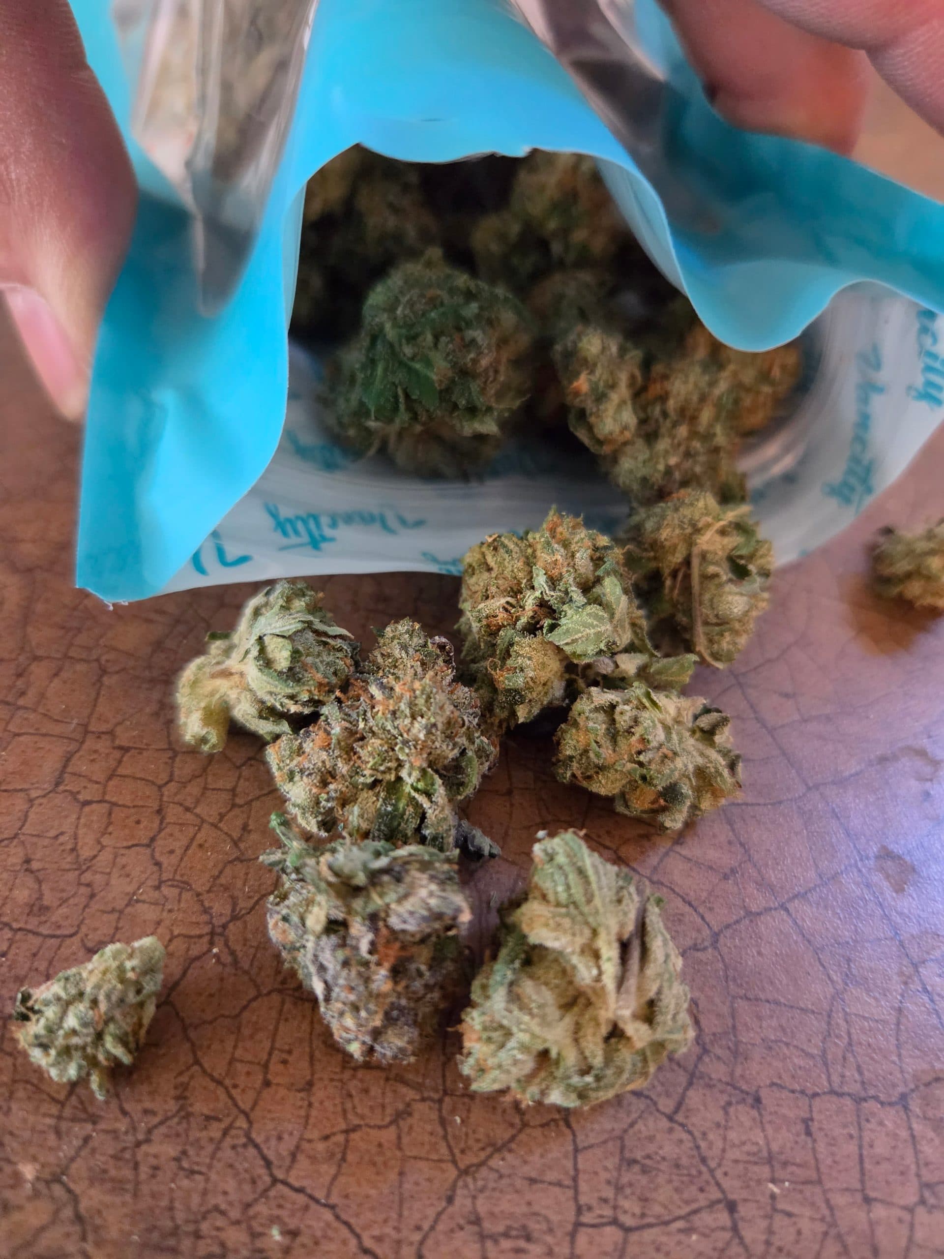 Customer photo 3 of Gas Mask - Smalls