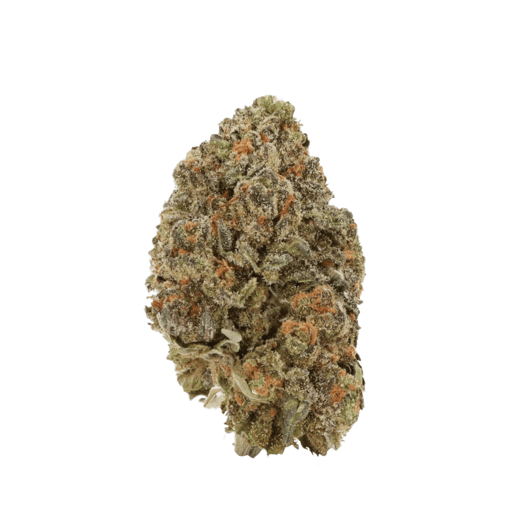 Acapulco Gold strain
