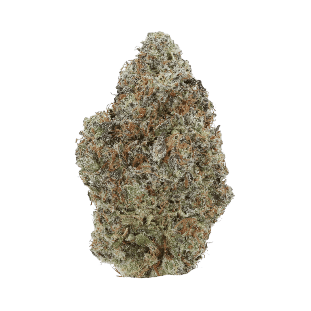 Blackberry Kush strain