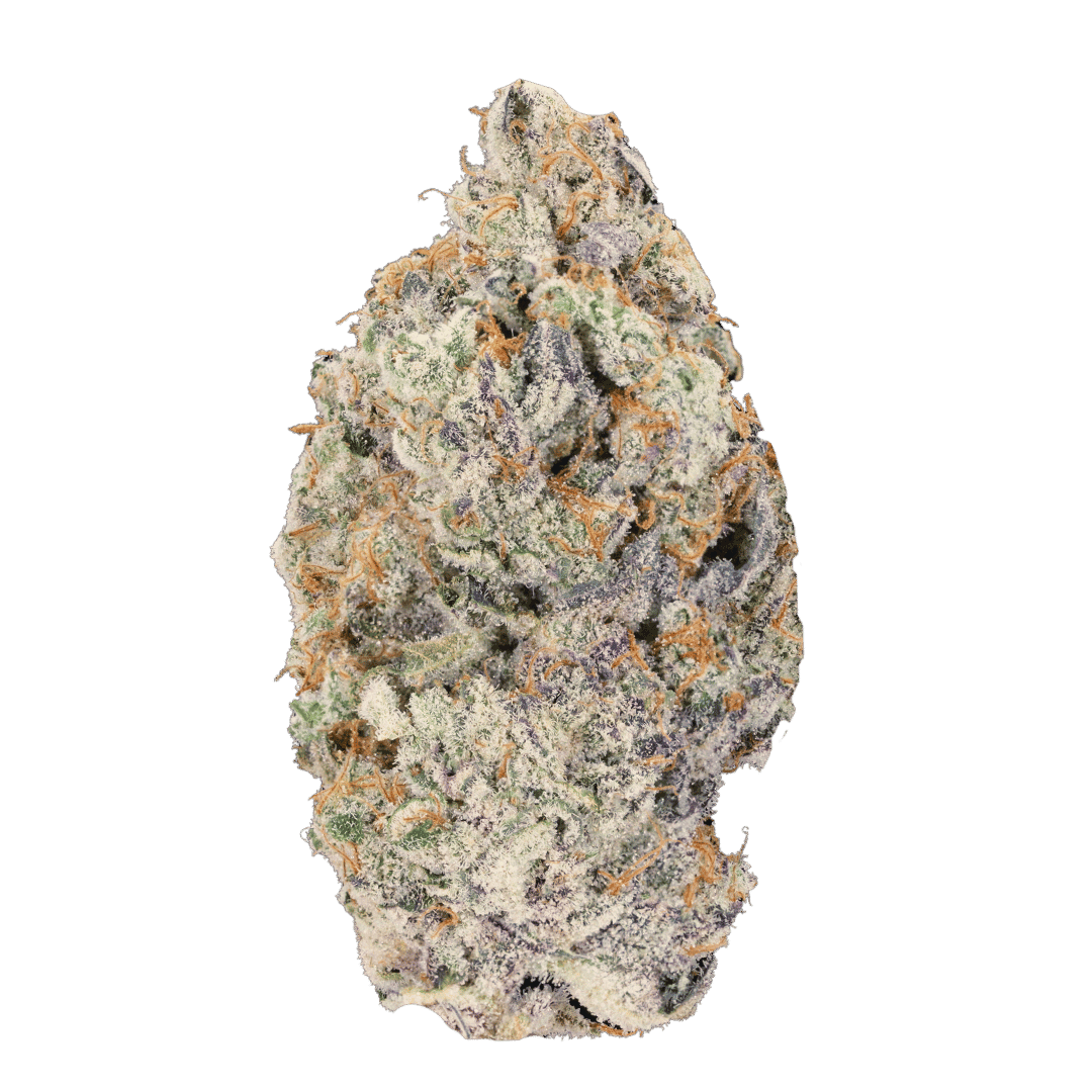Gelato strain
