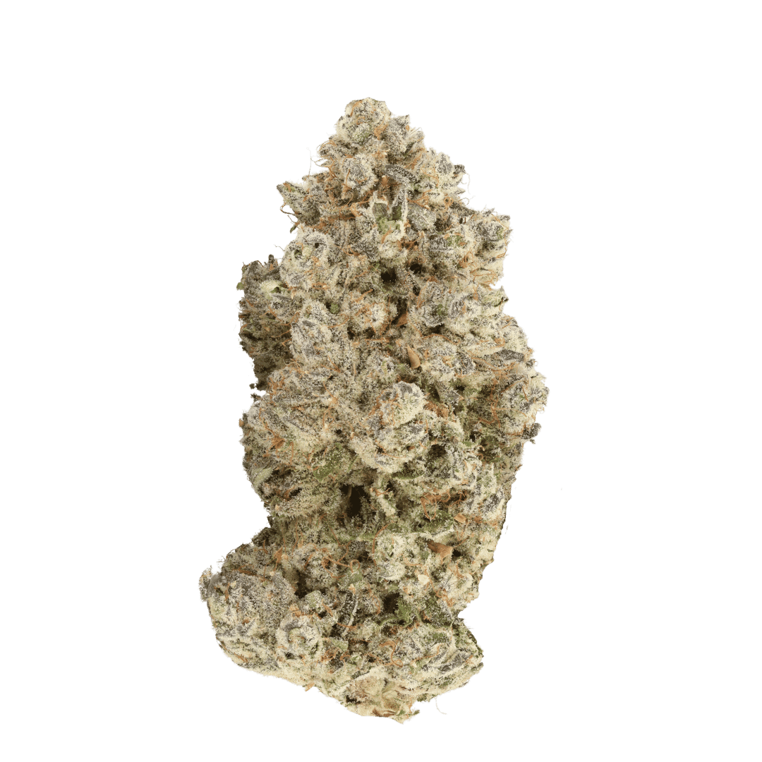 Georgia Pie strain