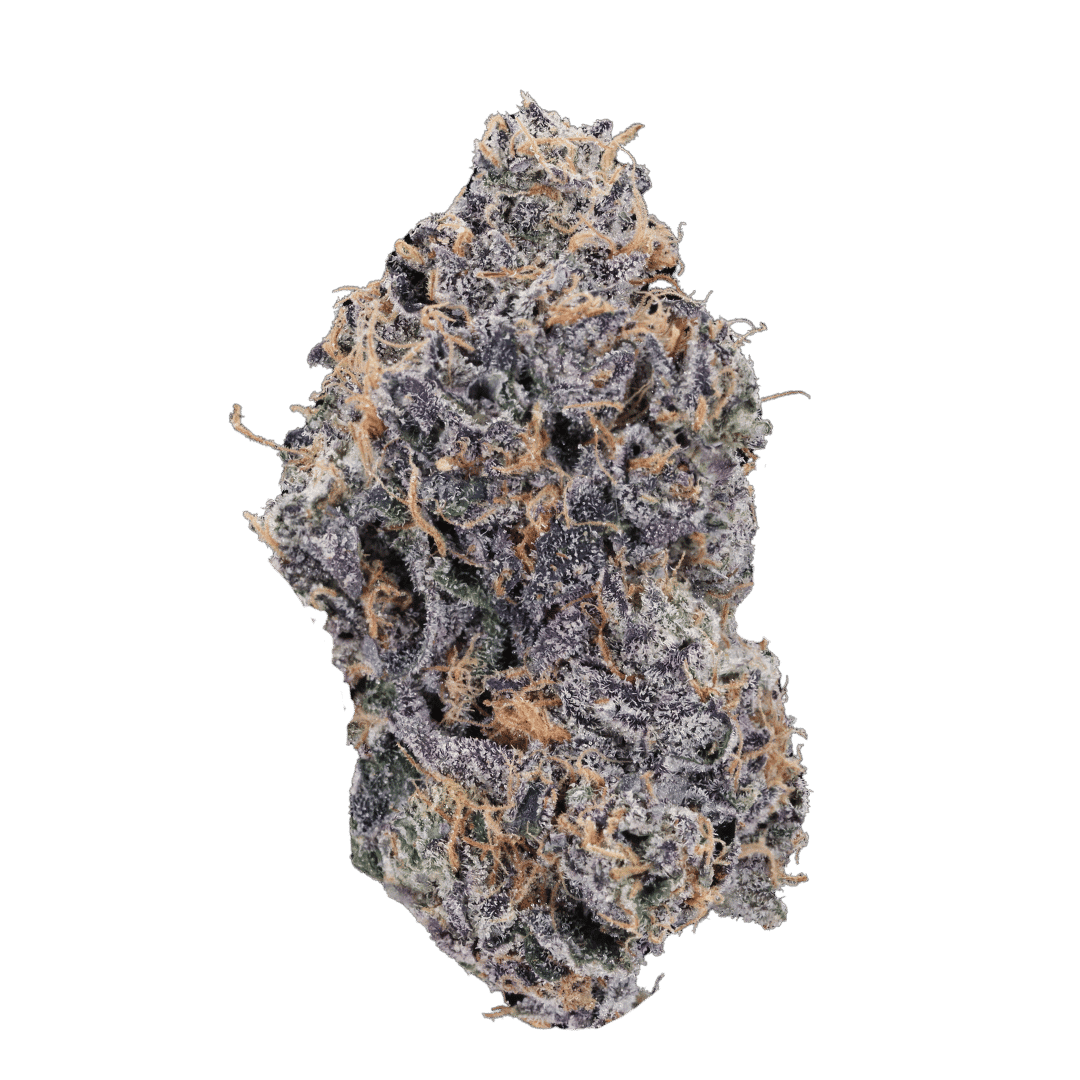 Purple Urkle strain