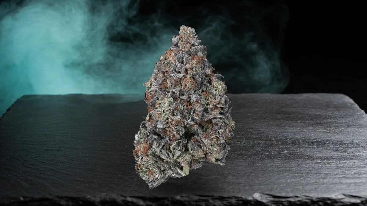 Death Bubba bud with purple and orange tones on dark slate