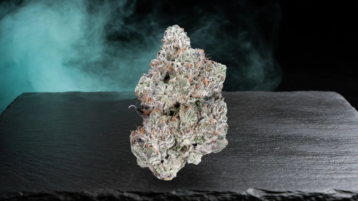 Pink Kush bud with dense frost and orange hairs on dark slate