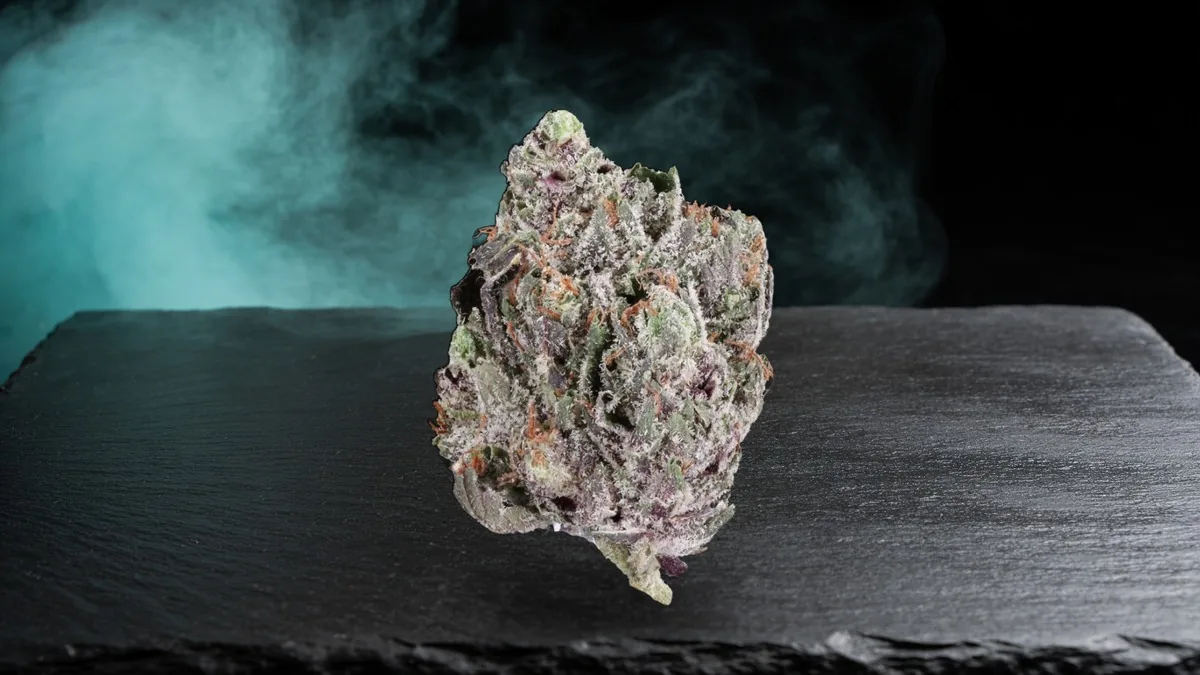 Rockstar bud with purple leaves and frosty trichomes on dark slate