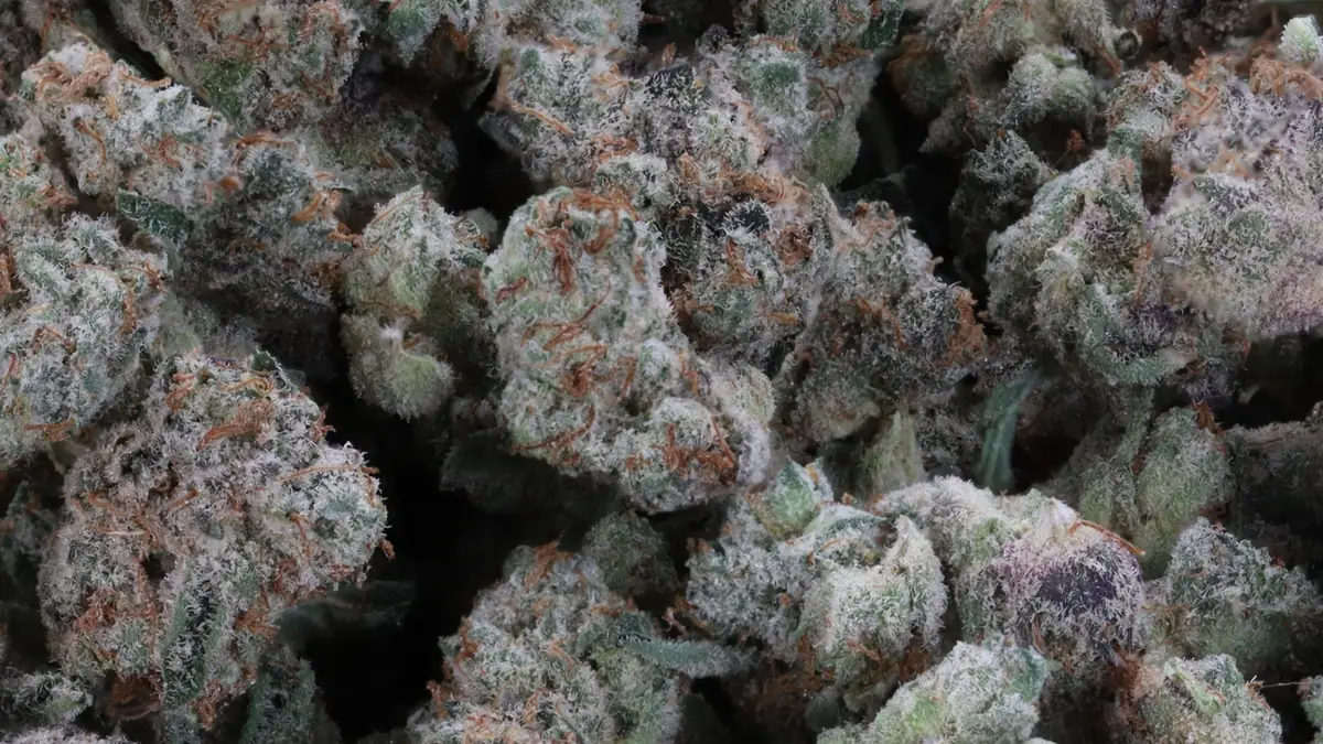 Weed smalls: a bag of small, frosty Death Bubba buds